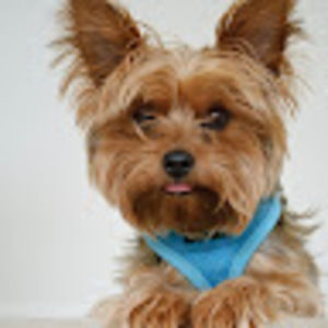 Meet your Posher, Teresa